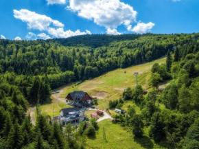 Гостиница Pokoje Ski Centrum Czarny Groń, Жики